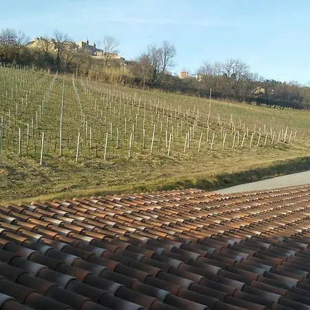 Le Vigne Di Clementina Fabi Farm stay *